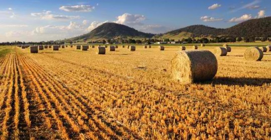 Tracts of semirural land near Mudgee being developed into ambitious new housing project