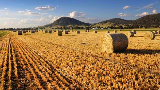 Tracts of semirural land near Mudgee being developed into ambitious new housing project