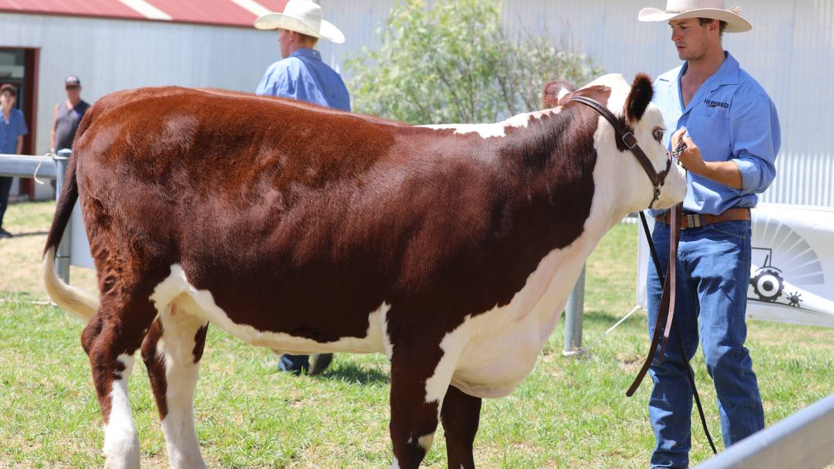 People flock through the gates for ‘bumper year’ for Mudgee Show_10