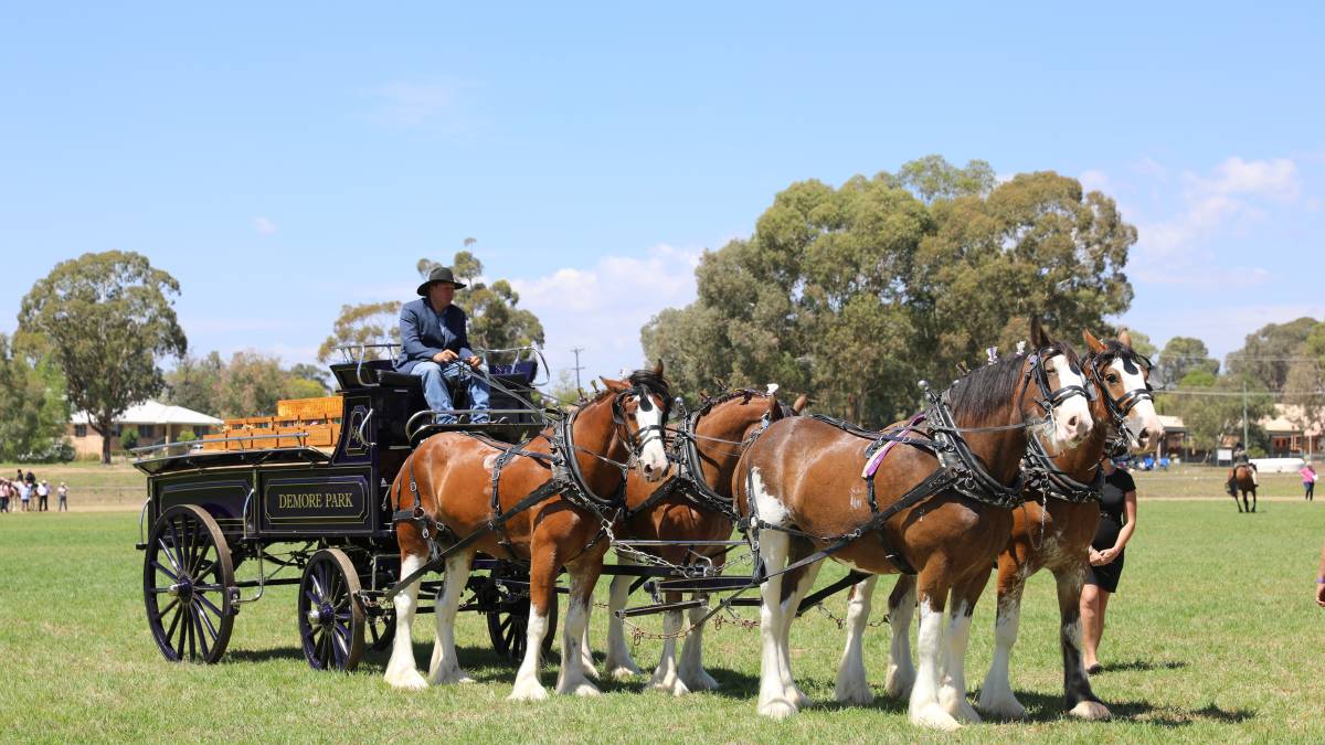 People flock through the gates for ‘bumper year’ for Mudgee Show_11