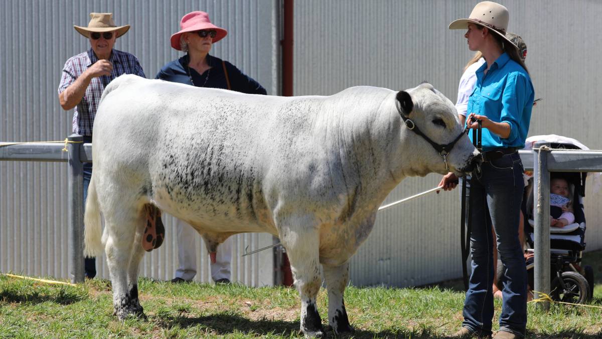 People flock through the gates for ‘bumper year’ for Mudgee Show_14