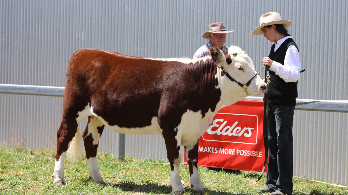 People flock through the gates for ‘bumper year’ for Mudgee Show_15