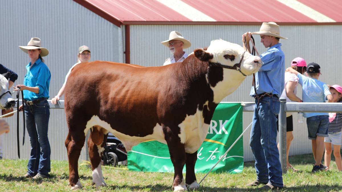 People flock through the gates for ‘bumper year’ for Mudgee Show_16
