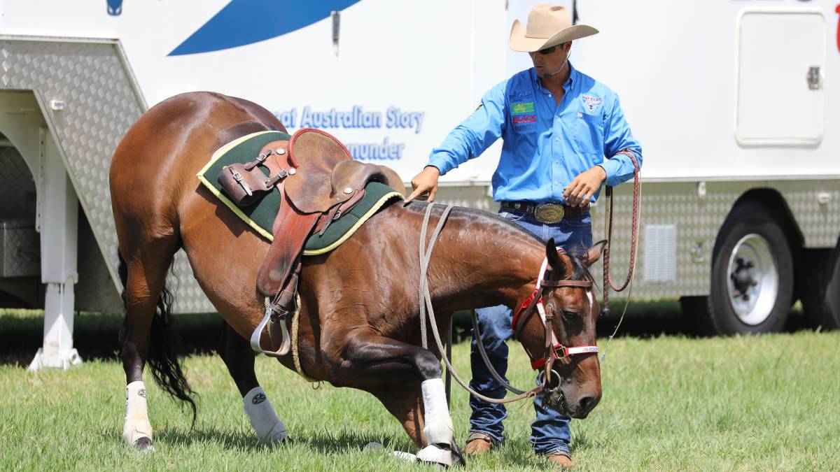 People flock through the gates for ‘bumper year’ for Mudgee Show_18