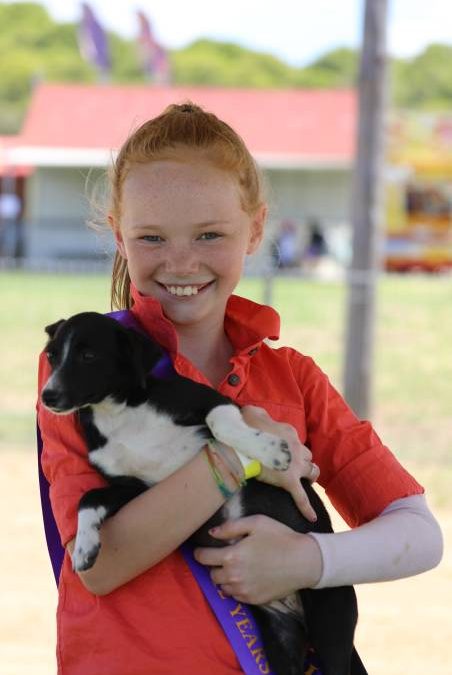 People flock through the gates for ‘bumper year’ for Mudgee Show_2