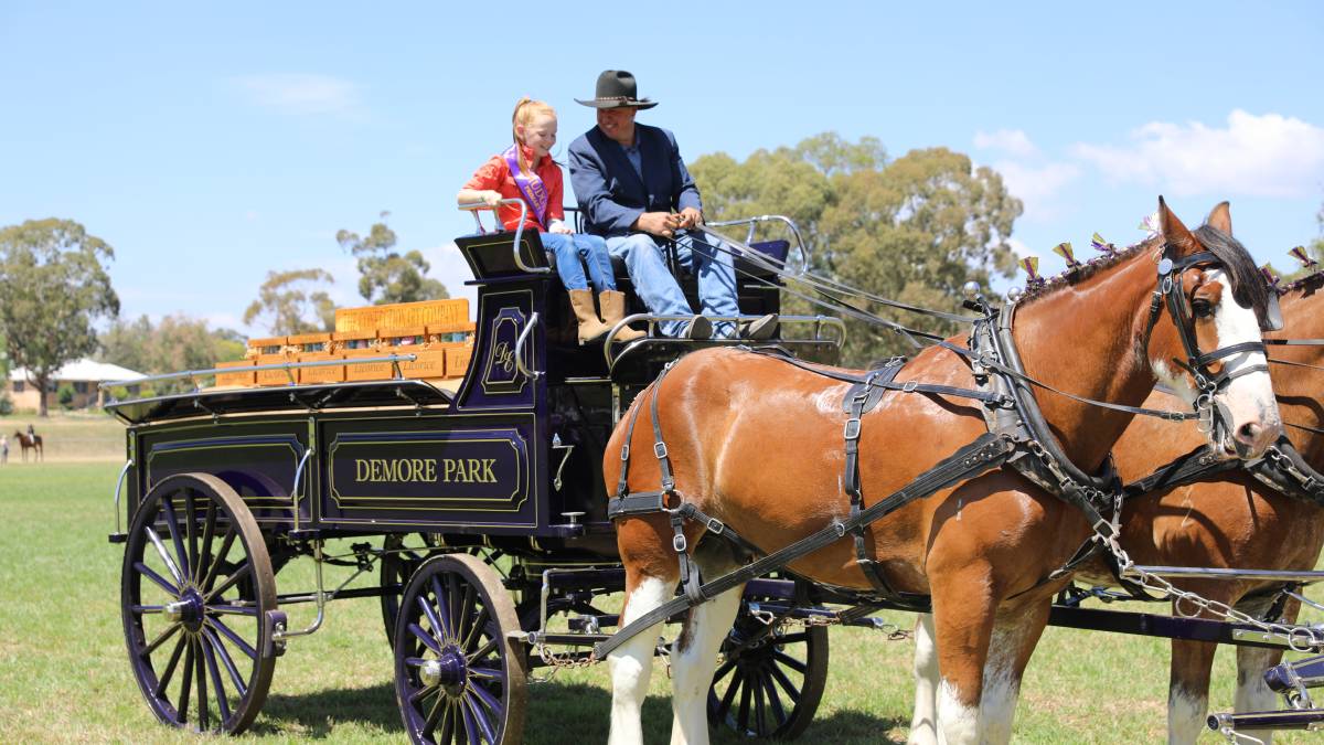 People flock through the gates for ‘bumper year’ for Mudgee Show_25