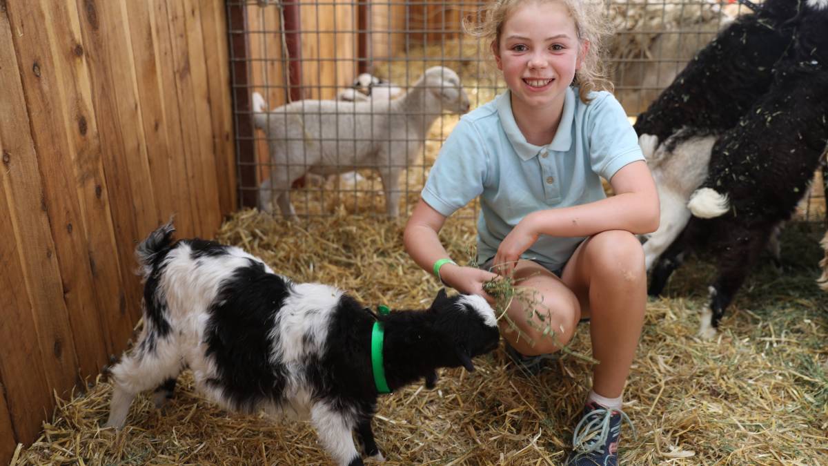 People flock through the gates for ‘bumper year’ for Mudgee Show_29