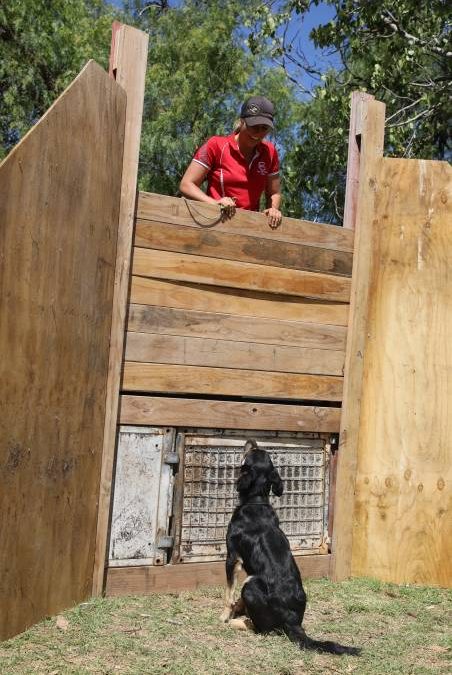 People flock through the gates for ‘bumper year’ for Mudgee Show_3