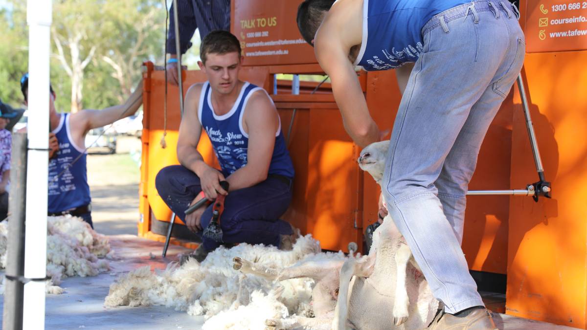 People flock through the gates for ‘bumper year’ for Mudgee Show_30