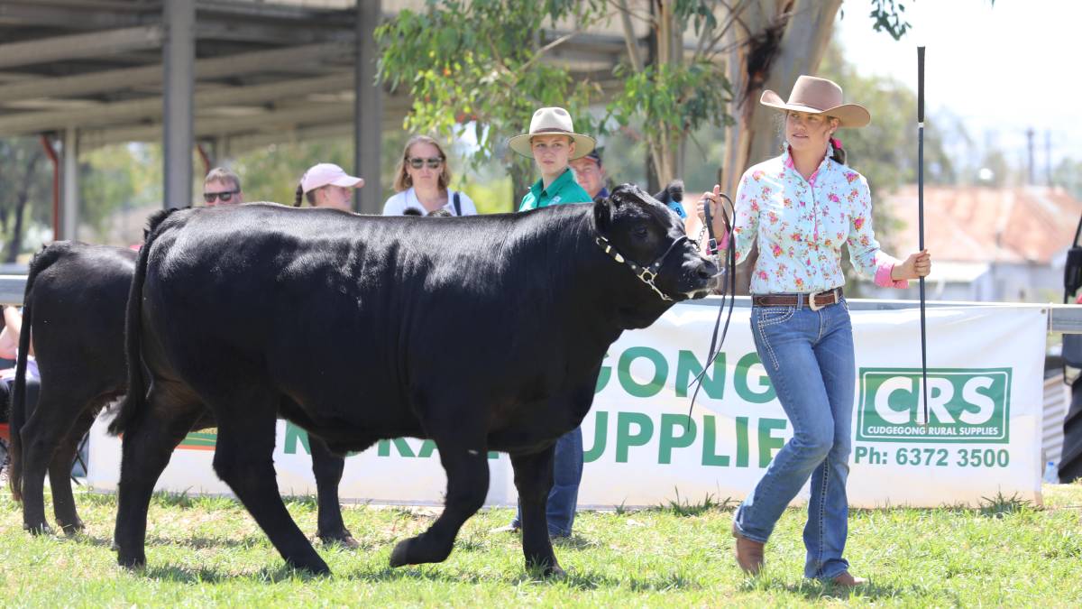 People flock through the gates for ‘bumper year’ for Mudgee Show_31