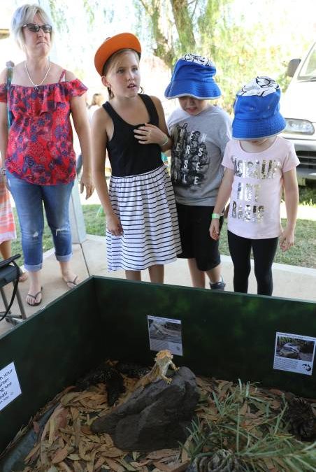 People flock through the gates for ‘bumper year’ for Mudgee Show_34