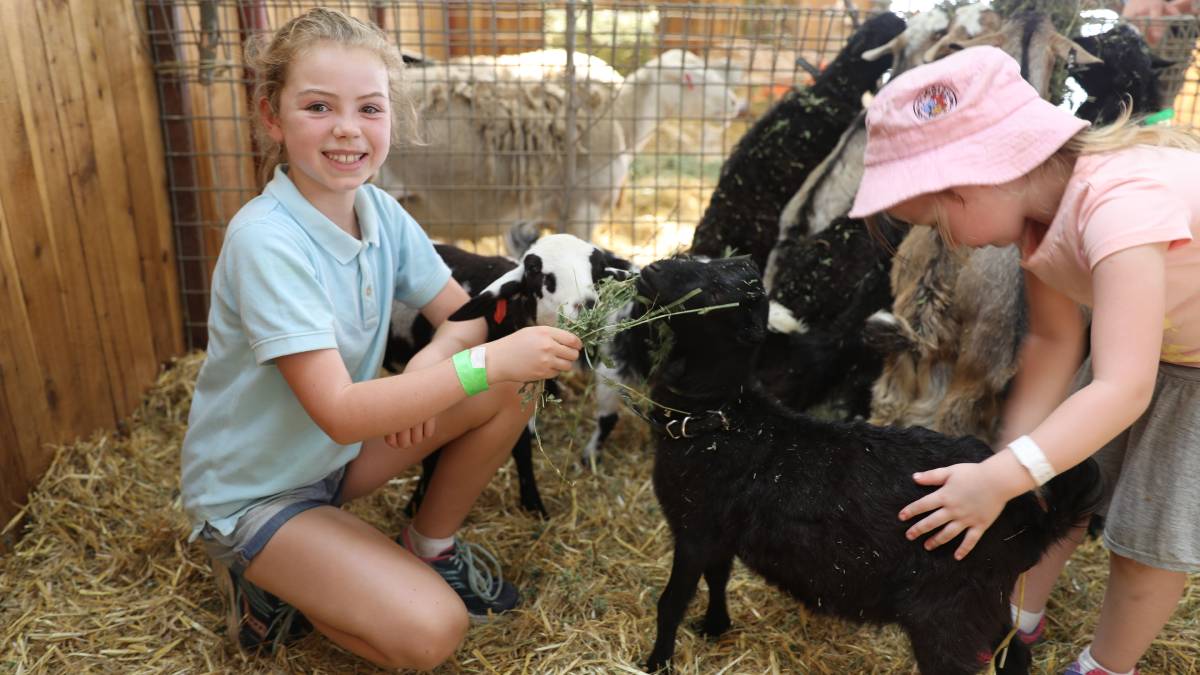 People flock through the gates for ‘bumper year’ for Mudgee Show_36