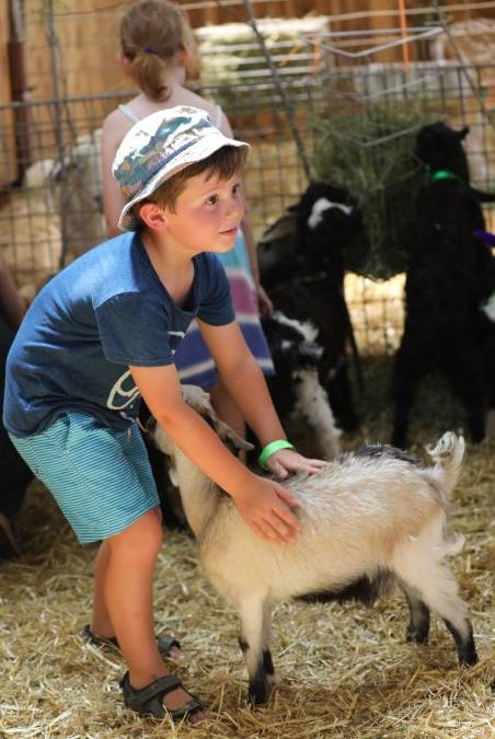 People flock through the gates for ‘bumper year’ for Mudgee Show_37