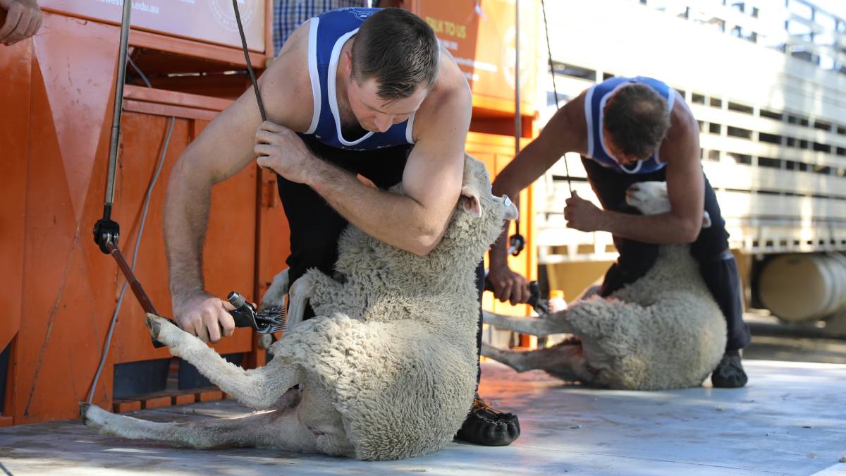 People flock through the gates for ‘bumper year’ for Mudgee Show_41
