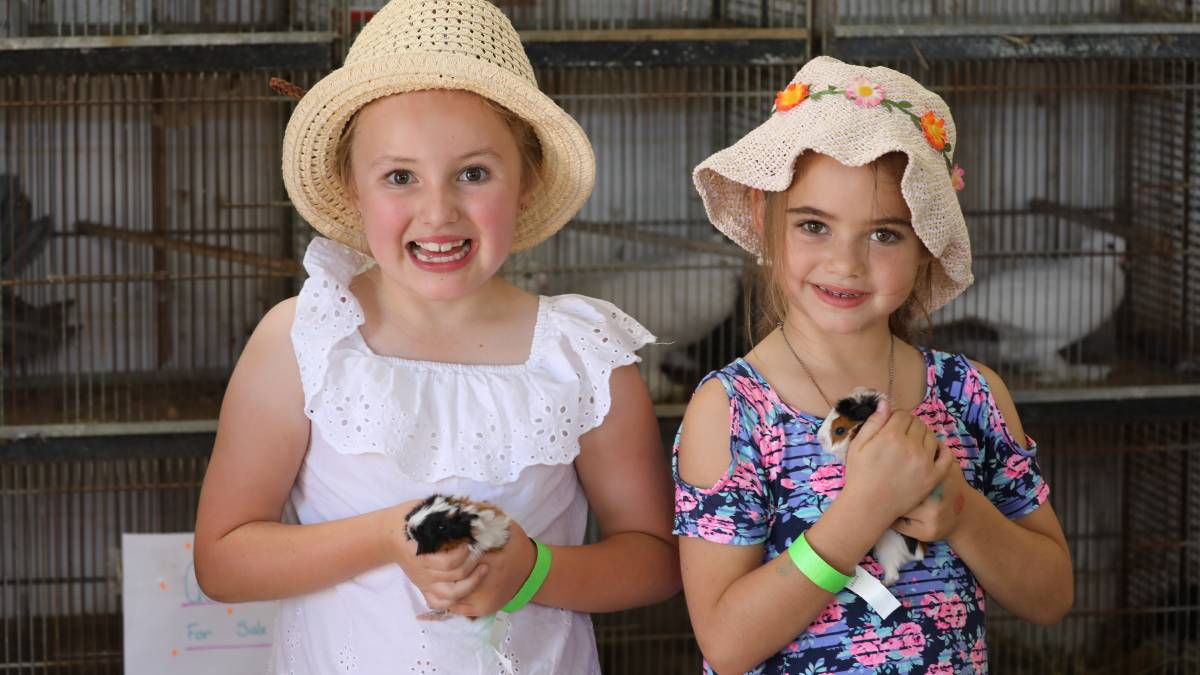 People flock through the gates for ‘bumper year’ for Mudgee Show_42