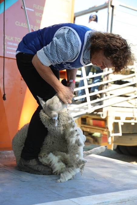 People flock through the gates for ‘bumper year’ for Mudgee Show_45