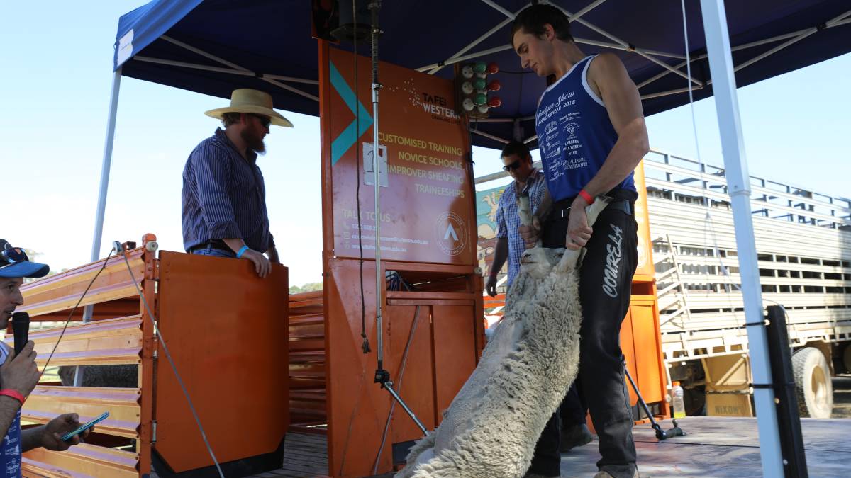 People flock through the gates for ‘bumper year’ for Mudgee Show_46
