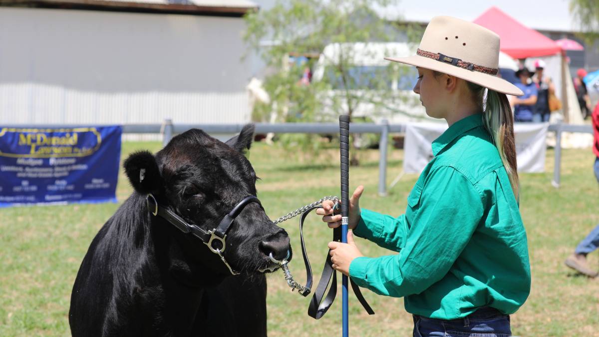 People flock through the gates for ‘bumper year’ for Mudgee Show_47