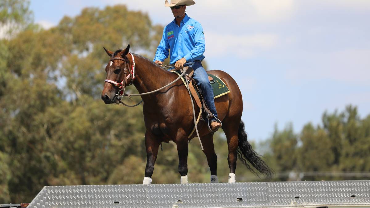 People flock through the gates for ‘bumper year’ for Mudgee Show_49