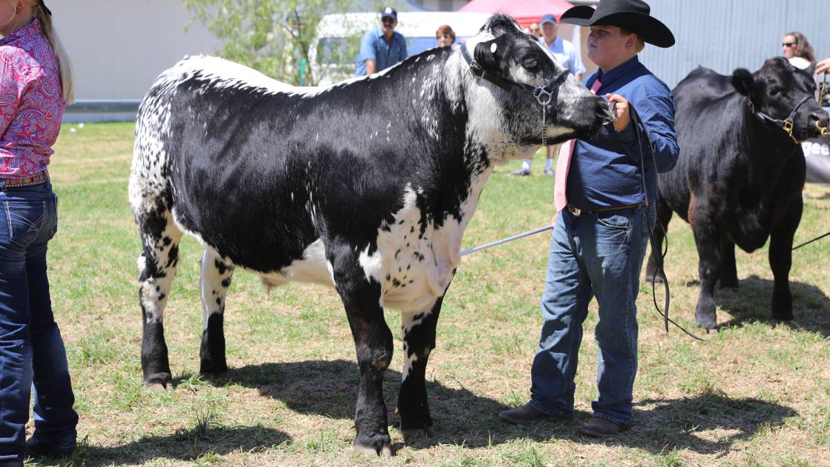 People flock through the gates for ‘bumper year’ for Mudgee Show_5