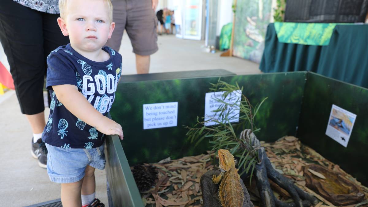 People flock through the gates for ‘bumper year’ for Mudgee Show_50