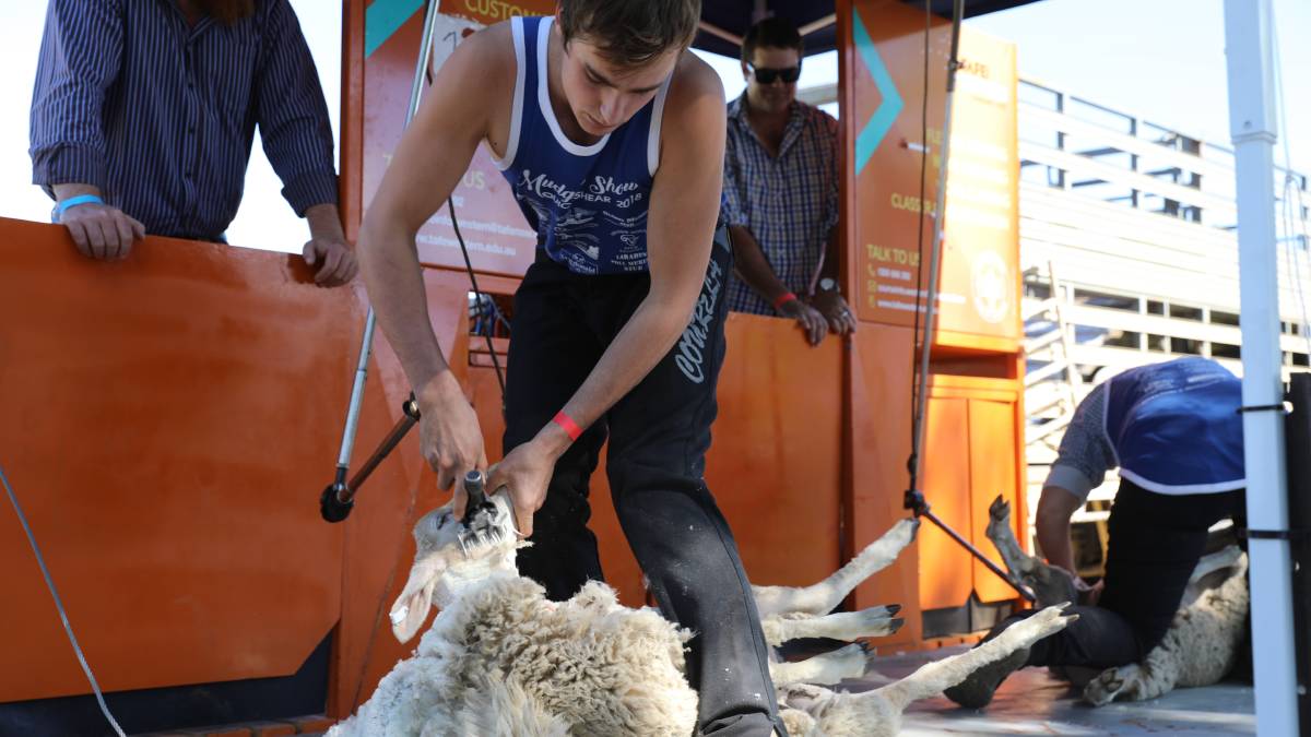 People flock through the gates for ‘bumper year’ for Mudgee Show_51