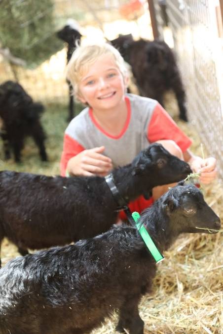 People flock through the gates for ‘bumper year’ for Mudgee Show_53