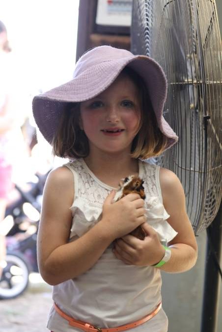 People flock through the gates for ‘bumper year’ for Mudgee Show_59