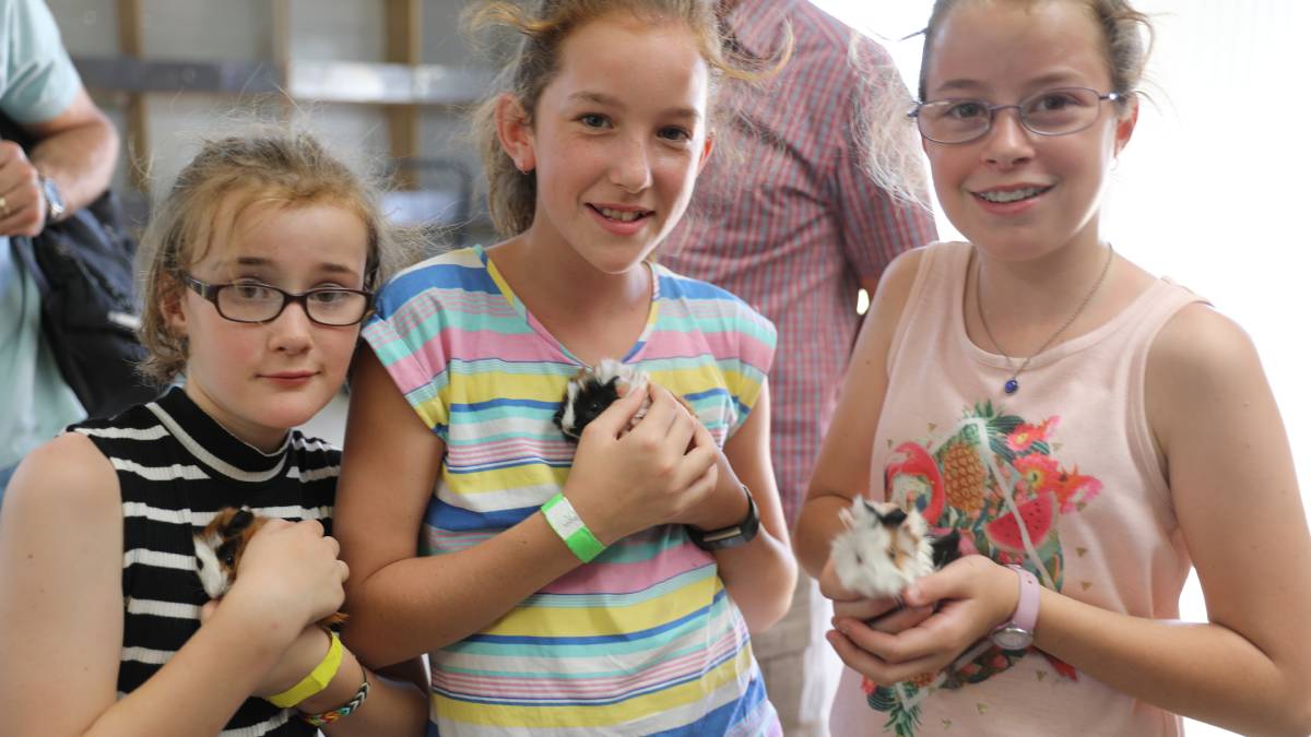 People flock through the gates for ‘bumper year’ for Mudgee Show_60