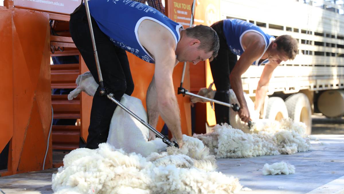 People flock through the gates for ‘bumper year’ for Mudgee Show_61