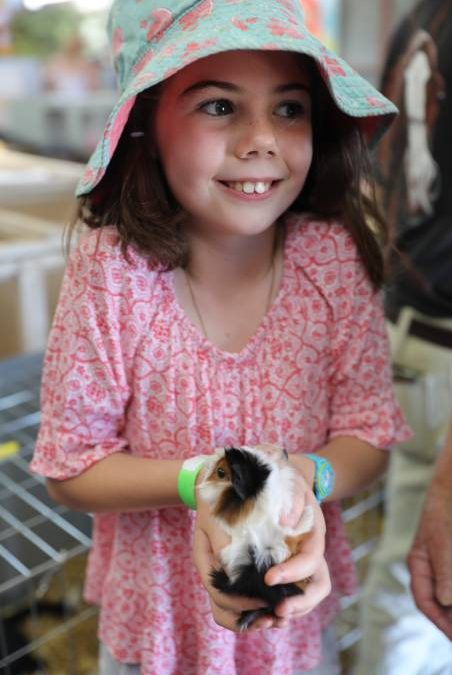 People flock through the gates for ‘bumper year’ for Mudgee Show_63