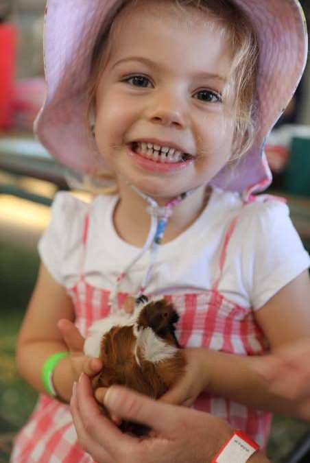 People flock through the gates for ‘bumper year’ for Mudgee Show_69