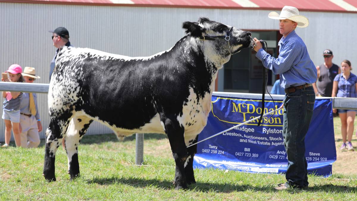 People flock through the gates for ‘bumper year’ for Mudgee Show_7