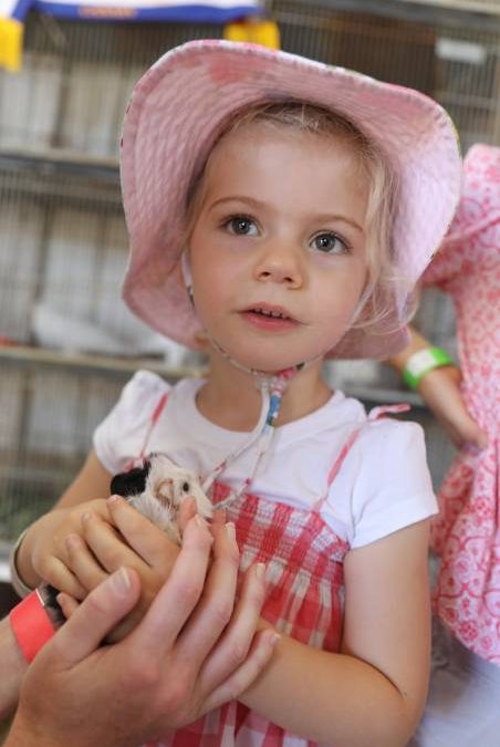 People flock through the gates for ‘bumper year’ for Mudgee Show_70