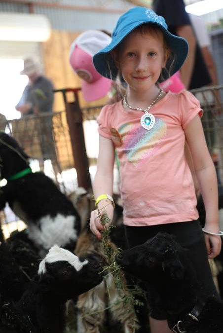 People flock through the gates for ‘bumper year’ for Mudgee Show_76