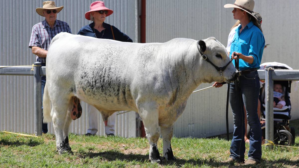 People flock through the gates for ‘bumper year’ for Mudgee Show_8