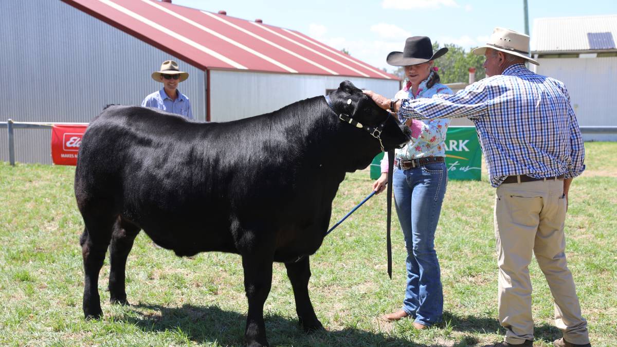 People flock through the gates for ‘bumper year’ for Mudgee Show_9