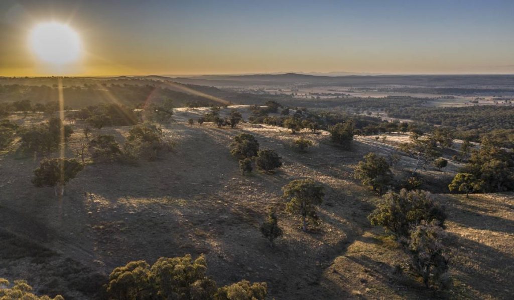 Major wind farm project proposed near Coolah, community info session planned