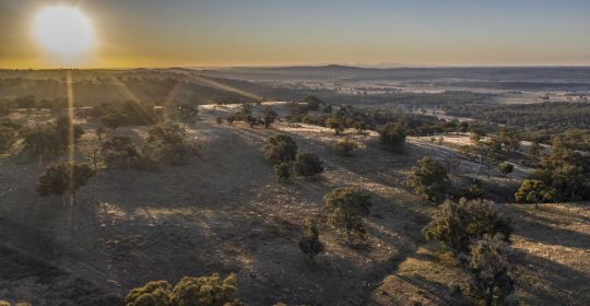 Major wind farm project proposed near Coolah, community info session planned